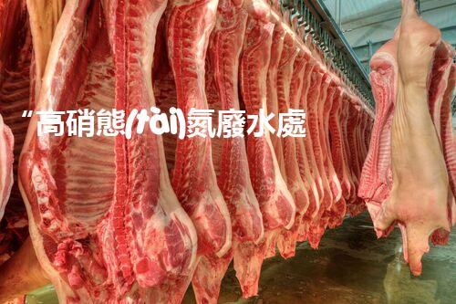 “高硝態(tài)氮廢水處理，綠色環(huán)保新篇章”